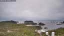 ./images/calvert/lookout/20260401/lookout20260401_103501M.jpg
