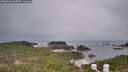 ./images/calvert/lookout/20260401/lookout20260401_105501M.jpg