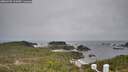 ./images/calvert/lookout/20260401/lookout20260401_111001M.jpg