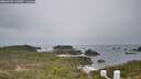 ./images/calvert/lookout/20260401/lookout20260401_113001M.jpg