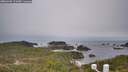 ./images/calvert/lookout/20260401/lookout20260401_121001M.jpg