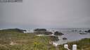 ./images/calvert/lookout/20260401/lookout20260401_123501M.jpg