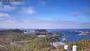 ./images/calvert/lookout/20260402/lookout20260402_111001M.jpg