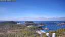 ./images/calvert/lookout/20260402/lookout20260402_114501M.jpg