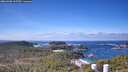 ./images/calvert/lookout/20260402/lookout20260402_115501M.jpg