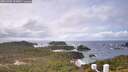 ./images/calvert/lookout/20260403/lookout20260403_133001M.jpg