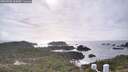 ./images/calvert/lookout/20260403/lookout20260403_164501M.jpg