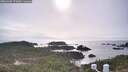 ./images/calvert/lookout/20260404/lookout20260404_172001M.jpg