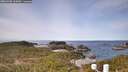 ./images/calvert/lookout/20260405/lookout20260405_105001M.jpg