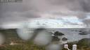 ./images/calvert/lookout/20260406/lookout20260406_093001M.jpg
