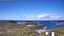 ./images/calvert/lookout/20260406/lookout20260406_105501M.jpg