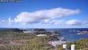 ./images/calvert/lookout/20260406/lookout20260406_111001M.jpg