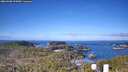 ./images/calvert/lookout/20260408/lookout20260408_093001M.jpg