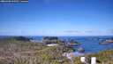./images/calvert/lookout/20260408/lookout20260408_100501M.jpg