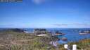 ./images/calvert/lookout/20260408/lookout20260408_101001M.jpg