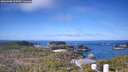 ./images/calvert/lookout/20260408/lookout20260408_102001M.jpg