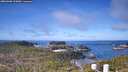 ./images/calvert/lookout/20260408/lookout20260408_103001M.jpg