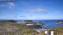 ./images/calvert/lookout/20260408/lookout20260408_103501M.jpg