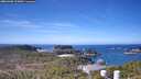 ./images/calvert/lookout/20260408/lookout20260408_112001M.jpg