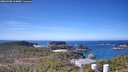 ./images/calvert/lookout/20260408/lookout20260408_114002M.jpg