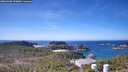 ./images/calvert/lookout/20260408/lookout20260408_122001M.jpg