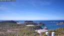 ./images/calvert/lookout/20260408/lookout20260408_123501M.jpg