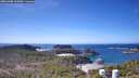 ./images/calvert/lookout/20260408/lookout20260408_124501M.jpg