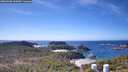 ./images/calvert/lookout/20260408/lookout20260408_132001M.jpg