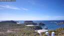 ./images/calvert/lookout/20260408/lookout20260408_141001M.jpg