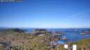 ./images/calvert/lookout/20260409/lookout20260409_085001M.jpg