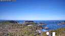 ./images/calvert/lookout/20260409/lookout20260409_092501M.jpg
