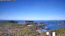 ./images/calvert/lookout/20260409/lookout20260409_093001M.jpg