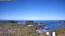 ./images/calvert/lookout/20260409/lookout20260409_094001M.jpg
