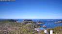 ./images/calvert/lookout/20260409/lookout20260409_094501M.jpg