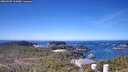 ./images/calvert/lookout/20260409/lookout20260409_112001M.jpg