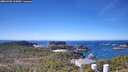 ./images/calvert/lookout/20260409/lookout20260409_115001M.jpg