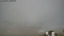 ./images/calvert/lookout/20260410/lookout20260410_073001M.jpg