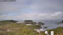 ./images/calvert/lookout/20260410/lookout20260410_095502M.jpg