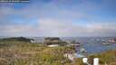 ./images/calvert/lookout/20260410/lookout20260410_101001M.jpg