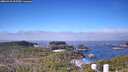 ./images/calvert/lookout/20260410/lookout20260410_102501M.jpg