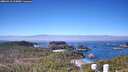 ./images/calvert/lookout/20260410/lookout20260410_105002M.jpg