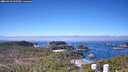 ./images/calvert/lookout/20260410/lookout20260410_105501M.jpg