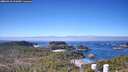 ./images/calvert/lookout/20260410/lookout20260410_111001M.jpg