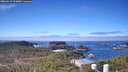 ./images/calvert/lookout/20260410/lookout20260410_112001M.jpg