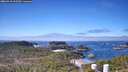 ./images/calvert/lookout/20260410/lookout20260410_112501M.jpg