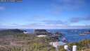 ./images/calvert/lookout/20260410/lookout20260410_113001M.jpg