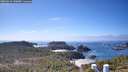 ./images/calvert/lookout/20260410/lookout20260410_140002M.jpg