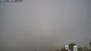 ./images/calvert/lookout/20260411/lookout20260411_082501M.jpg