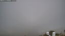 ./images/calvert/lookout/20260411/lookout20260411_092001M.jpg