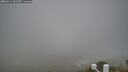 ./images/calvert/lookout/20260411/lookout20260411_092501M.jpg